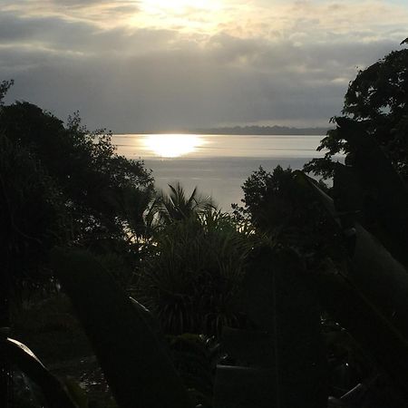 Dolphin Bay Hideaway Bed & Breakfast Bocas Town Bagian luar foto