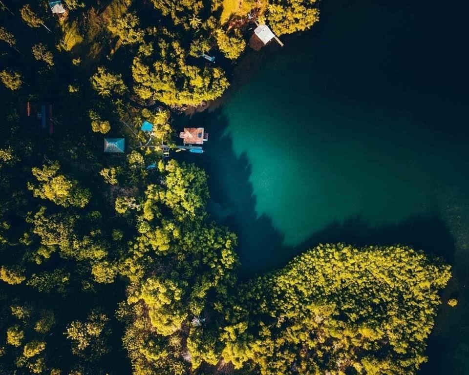 Dolphin Bay Hideaway Bed & Breakfast Bocas Town Bagian luar foto
