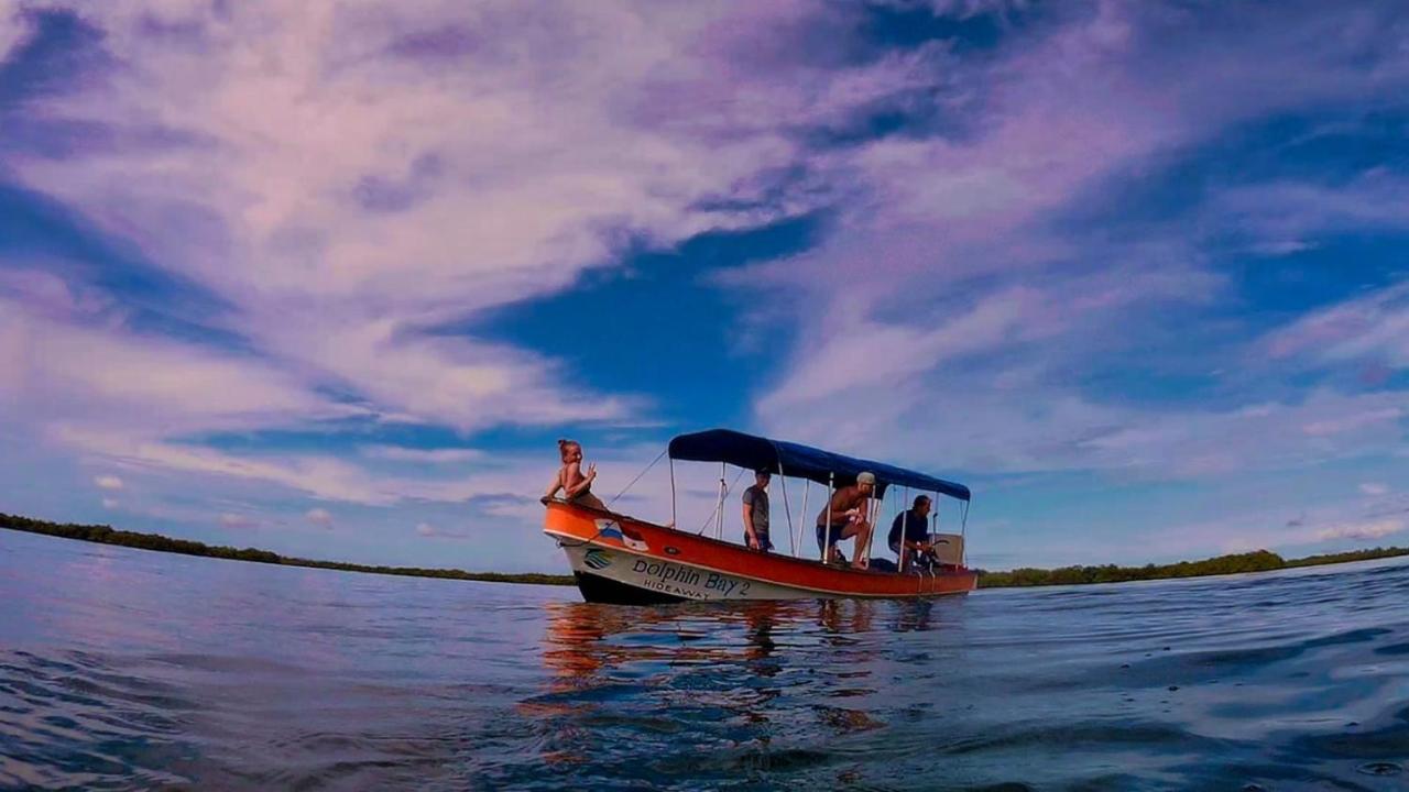 Dolphin Bay Hideaway Bed & Breakfast Bocas Town Bagian luar foto
