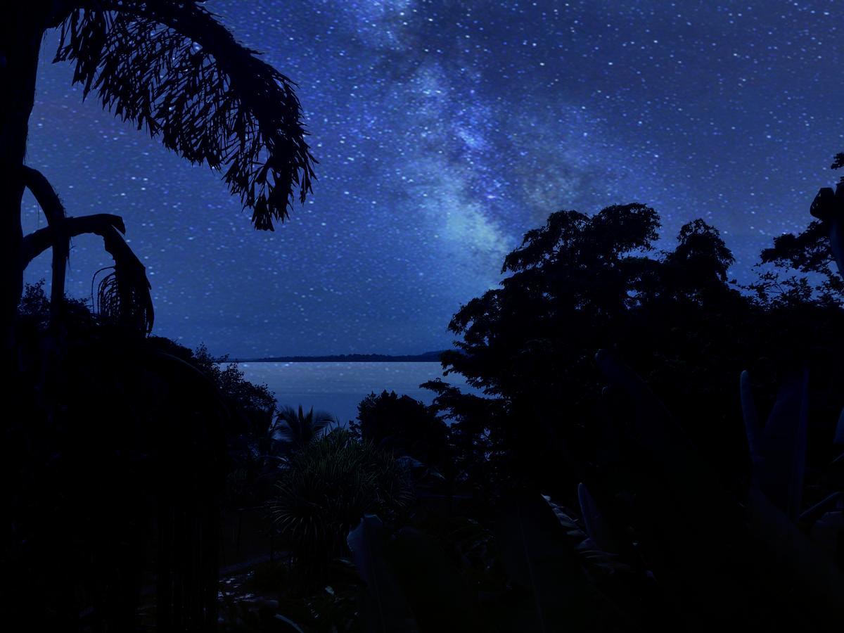 Dolphin Bay Hideaway Bed & Breakfast Bocas Town Bagian luar foto