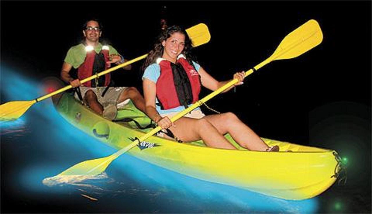 Dolphin Bay Hideaway Bed & Breakfast Bocas Town Bagian luar foto