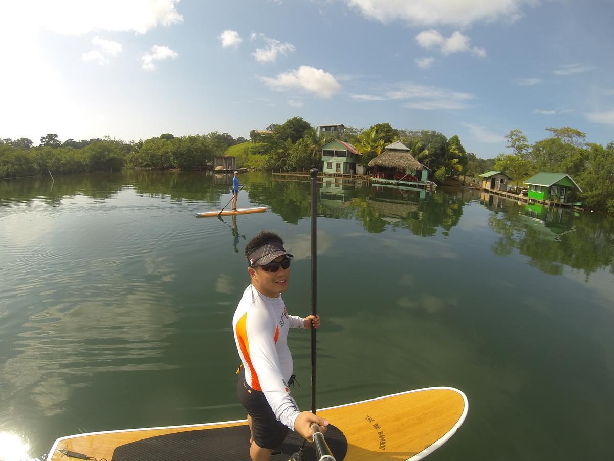 Dolphin Bay Hideaway Bed & Breakfast Bocas Town Bagian luar foto