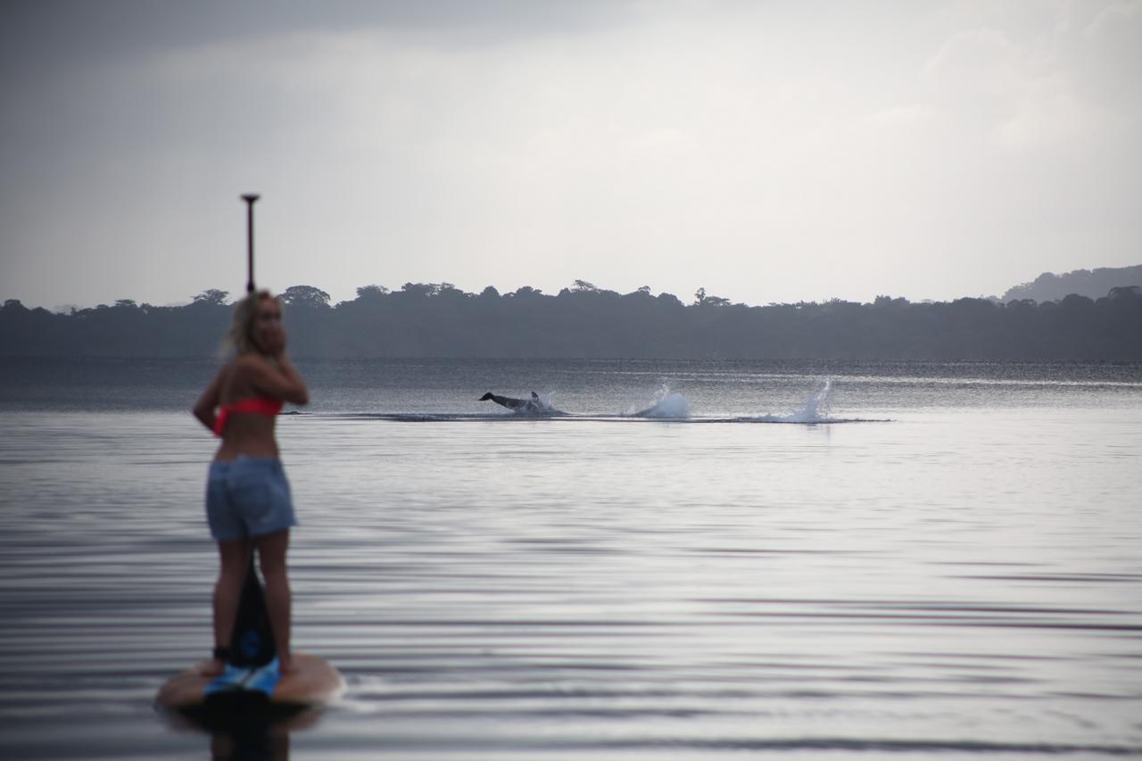 Dolphin Bay Hideaway Bed & Breakfast Bocas Town Bagian luar foto