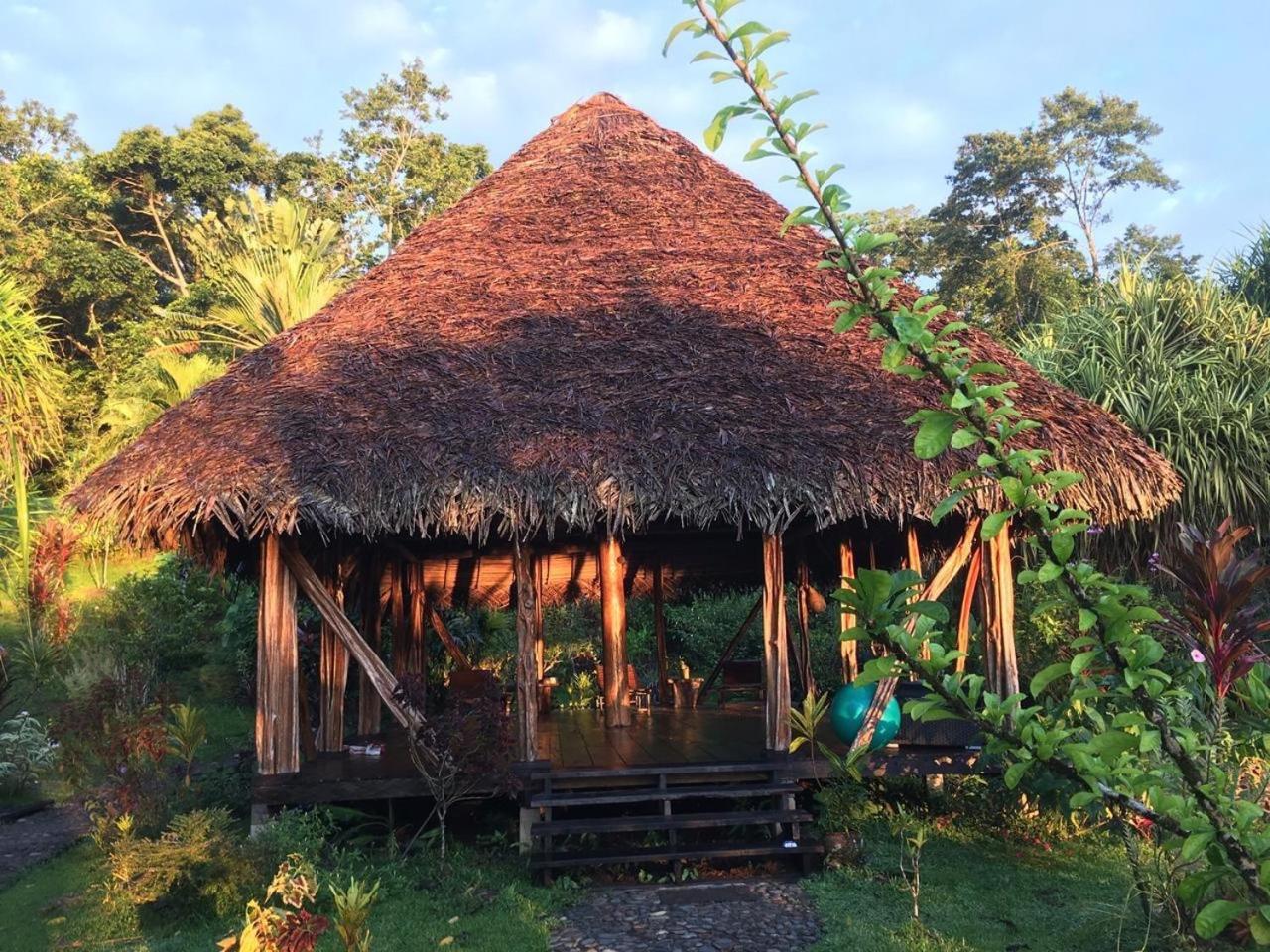 Dolphin Bay Hideaway Bed & Breakfast Bocas Town Bagian luar foto