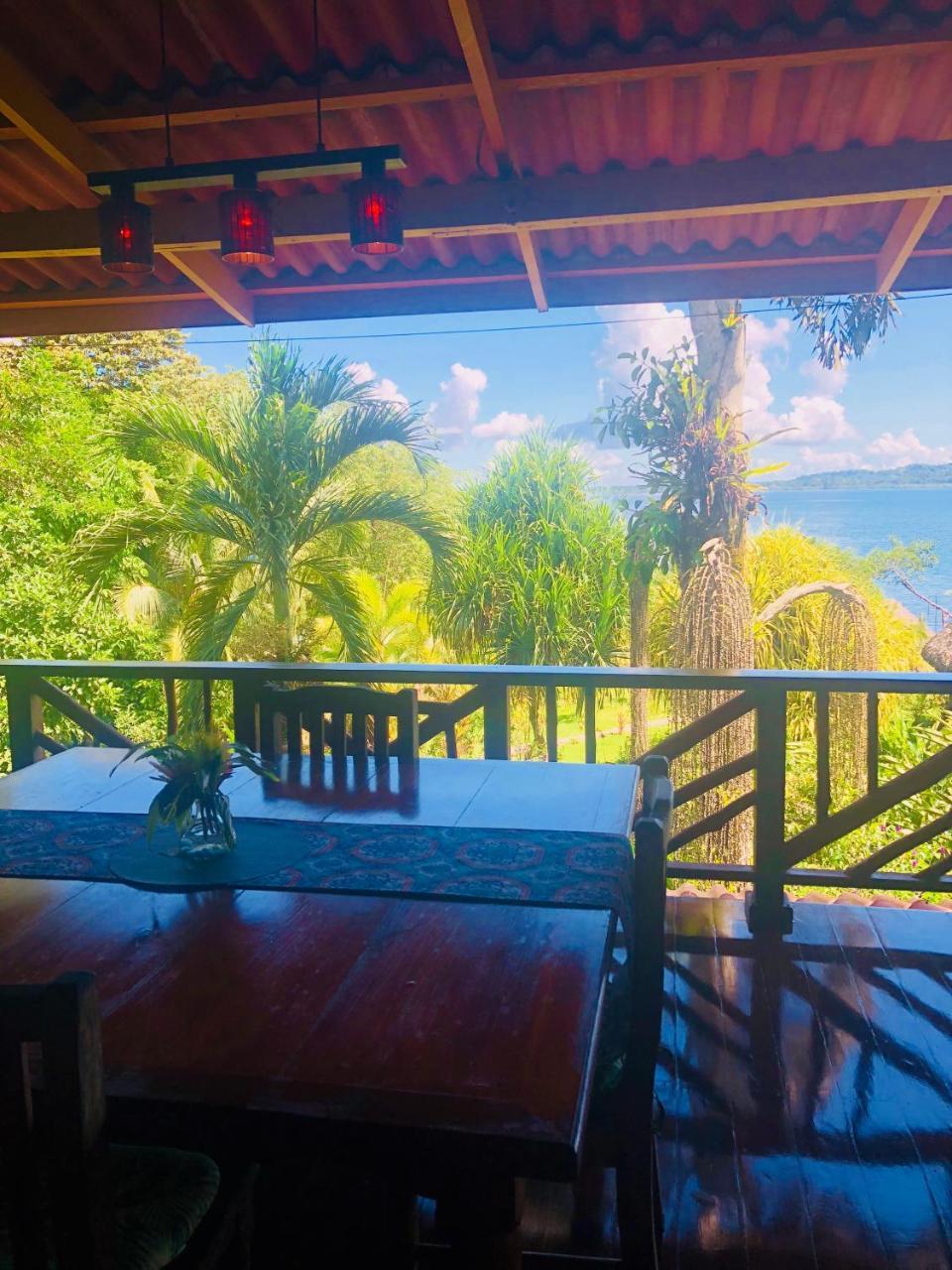 Dolphin Bay Hideaway Bed & Breakfast Bocas Town Bagian luar foto
