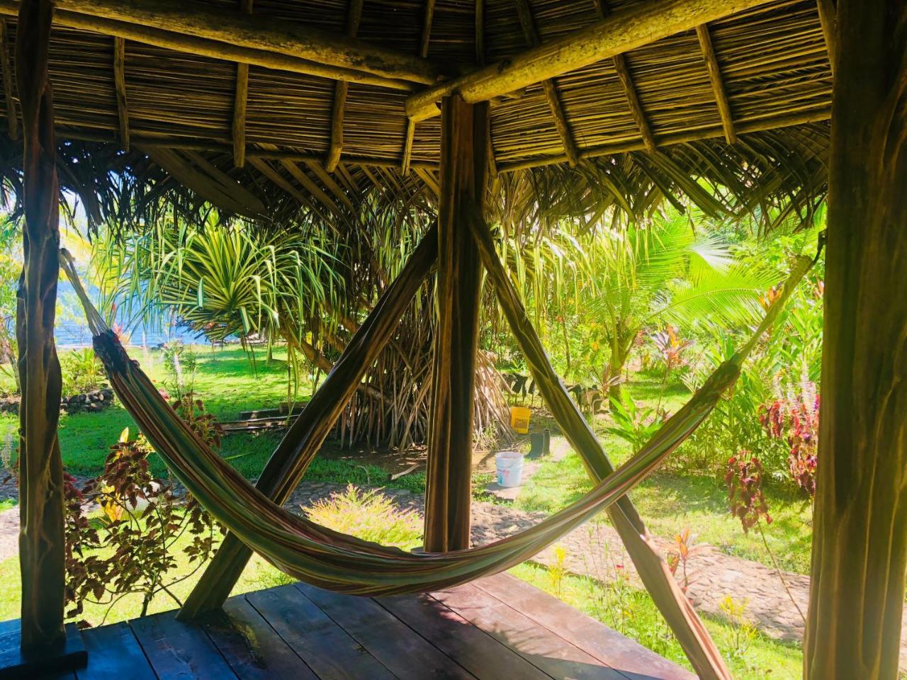 Dolphin Bay Hideaway Bed & Breakfast Bocas Town Bagian luar foto