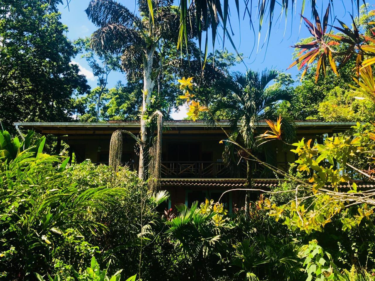 Dolphin Bay Hideaway Bed & Breakfast Bocas Town Bagian luar foto