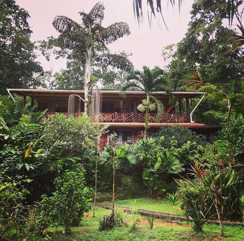 Dolphin Bay Hideaway Bed & Breakfast Bocas Town Bagian luar foto