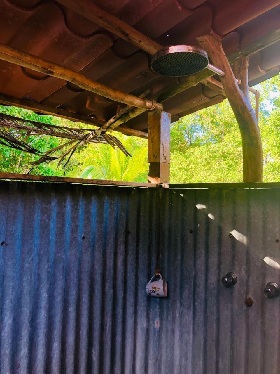 Dolphin Bay Hideaway Bed & Breakfast Bocas Town Bagian luar foto