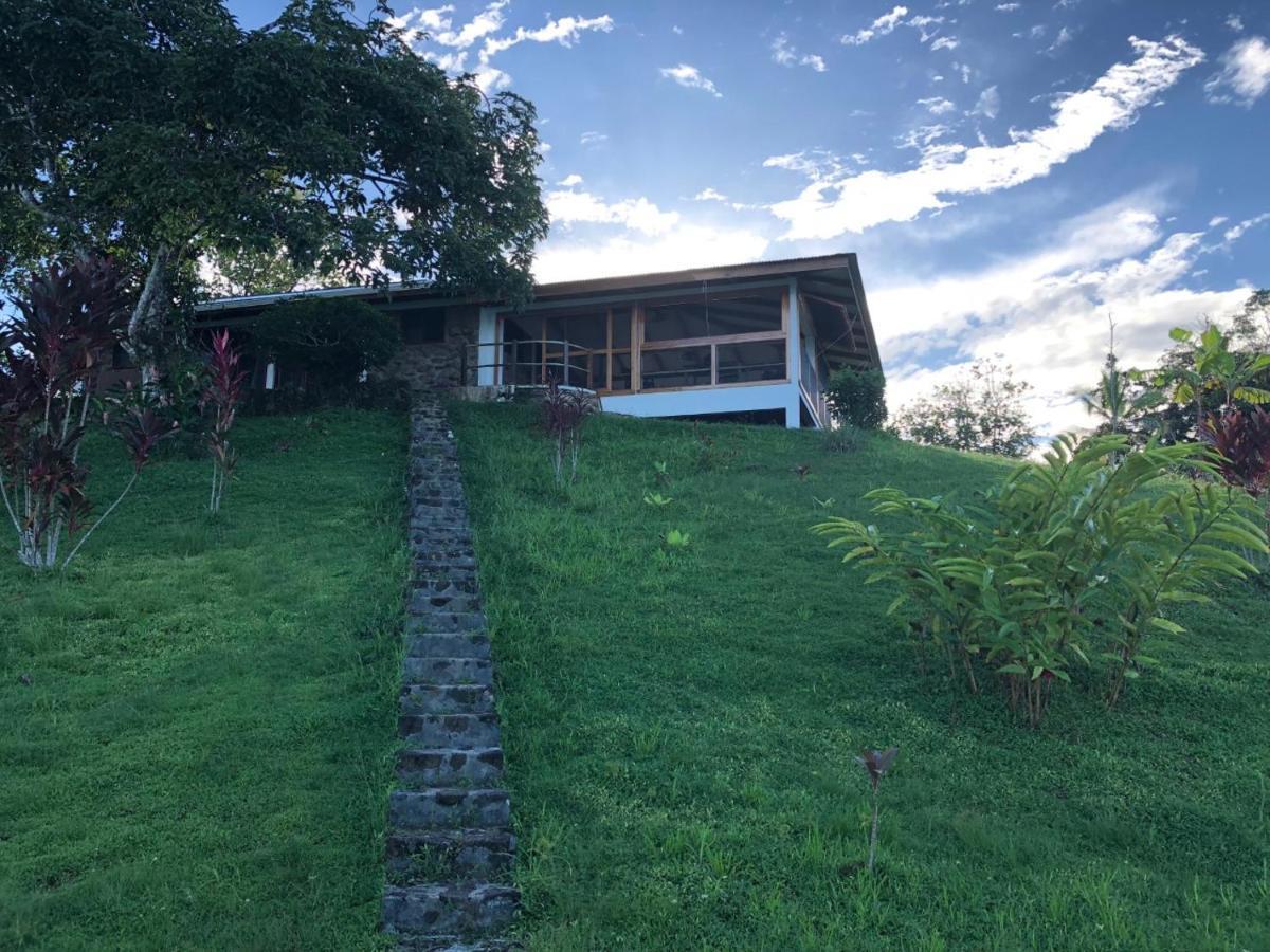 Dolphin Bay Hideaway Bed & Breakfast Bocas Town Bagian luar foto