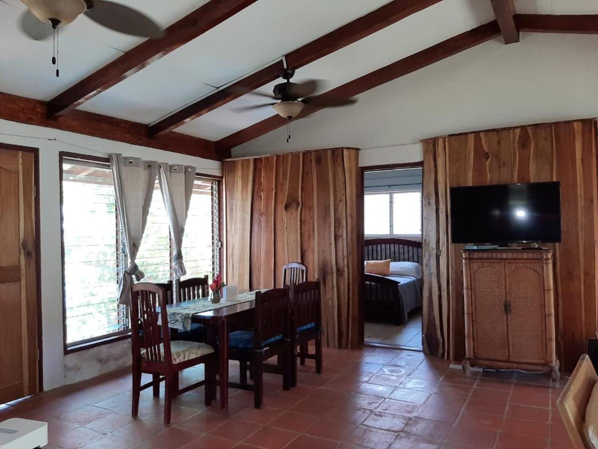 Dolphin Bay Hideaway Bed & Breakfast Bocas Town Bagian luar foto